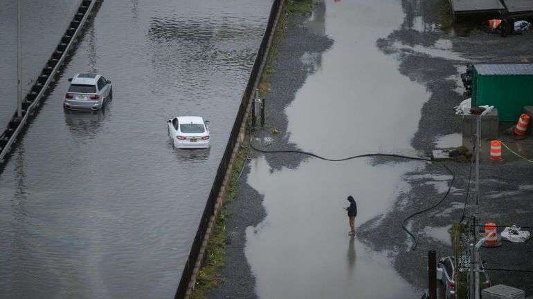 Sensational Escape: Flooding in New York Leads to Daring Sea Lion Breakout at Central Park Zoo