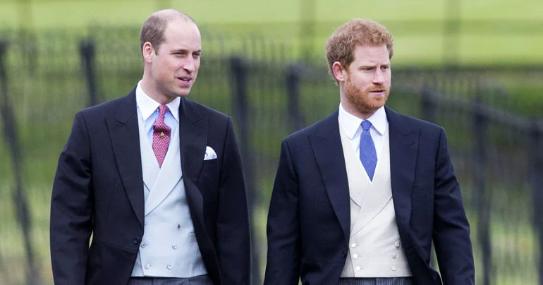 The Unveiled Truth Behind Prince William and Prince Harry’s Dynamic Journey
