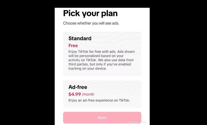 Unlock the Ultimate TikTok Experience: Ad-Free Subscriptions Now Available!