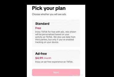 Unlock the Ultimate TikTok Experience: Ad-Free Subscriptions Now Available!