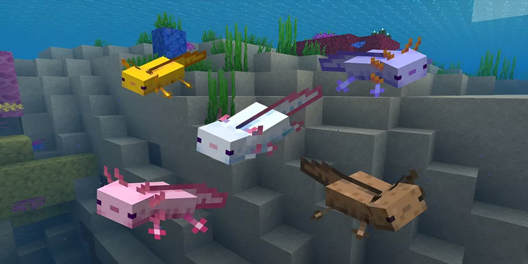 Unbelievable Minecraft Scene Reveals Over 3,000 Axolotls Packed Together