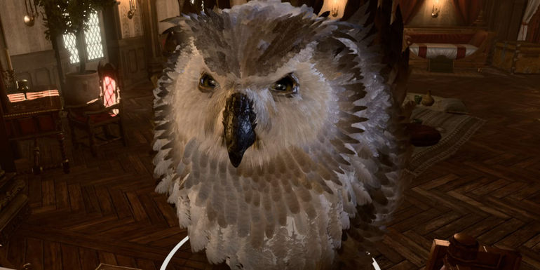 Unleash the Wild: Discover the Ultimate Ranking of Baldur's Gate 3's Best Druid Wild Shape Forms!