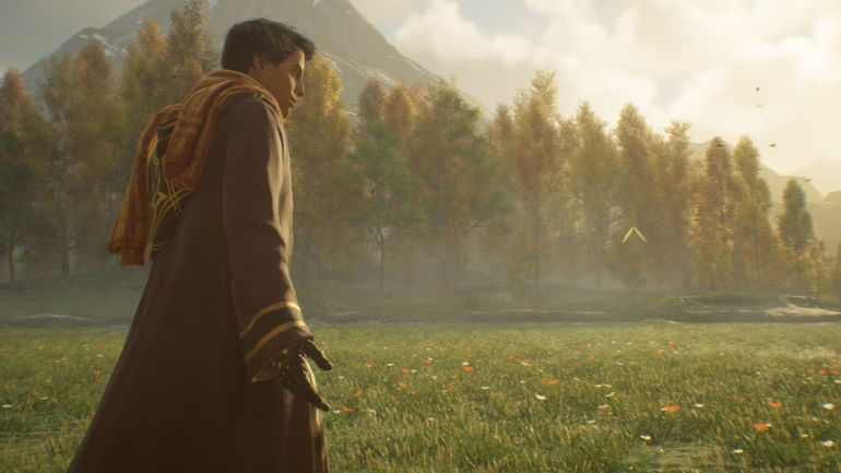 The Ultimate Hogwarts Legacy Sequel Must-Haves