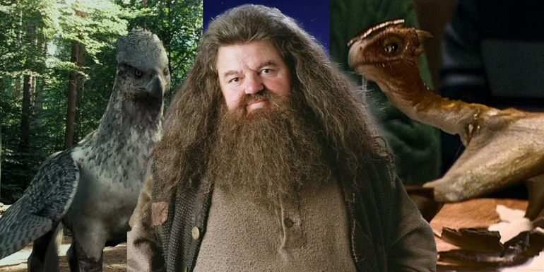 The Extraordinary Origins of Hagrid's Beloved Pets: Unveiling the Magical Tales Behind Them