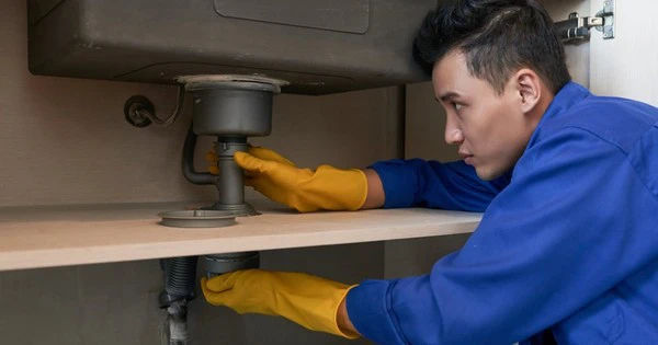 Bất chấp cánh cửa của AI, công việc nhân viên văn phòng vẫn vững tin sáng tạo suốt 10 năm tới!