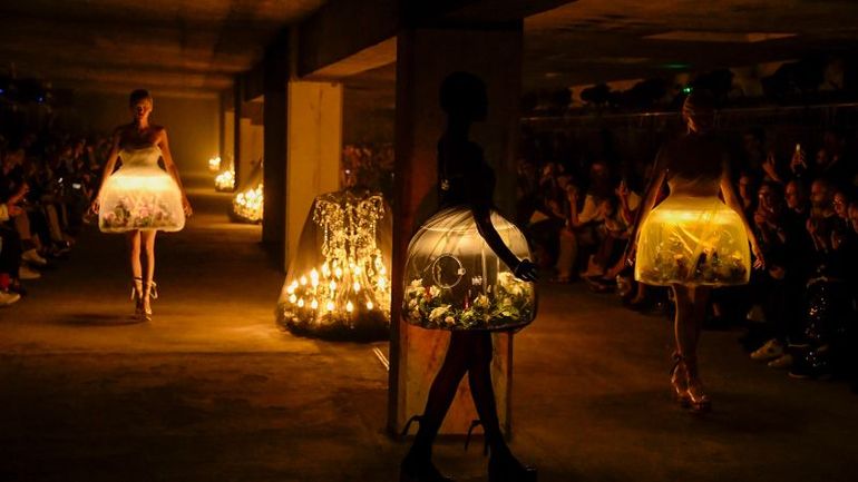 Designer's Apology: Live Butterflies in Terrarium Dresses Sparks Controversy