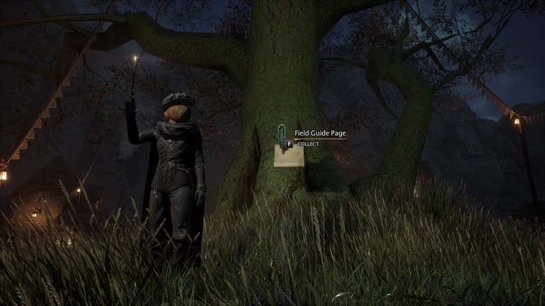 Hogwarts Legacy - Complete Highland Field Guide: Discover all 31 Pages