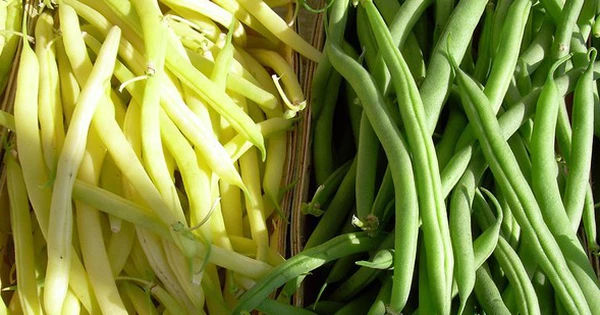 Rau xanh giá rẻ như thuốc thần cho sức khỏe toàn diện