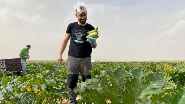 Dependence on Foreign Labor in Israel's Agricultural Sector Amidst Hamas Attacks