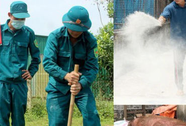 Vinh ghi nhận 8 điểm dịch tả lợn châu Phi