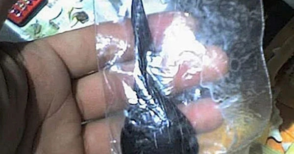 Dọa nguy kiểm sống vì nhiễm độc mật cá trắm chữa bệnh