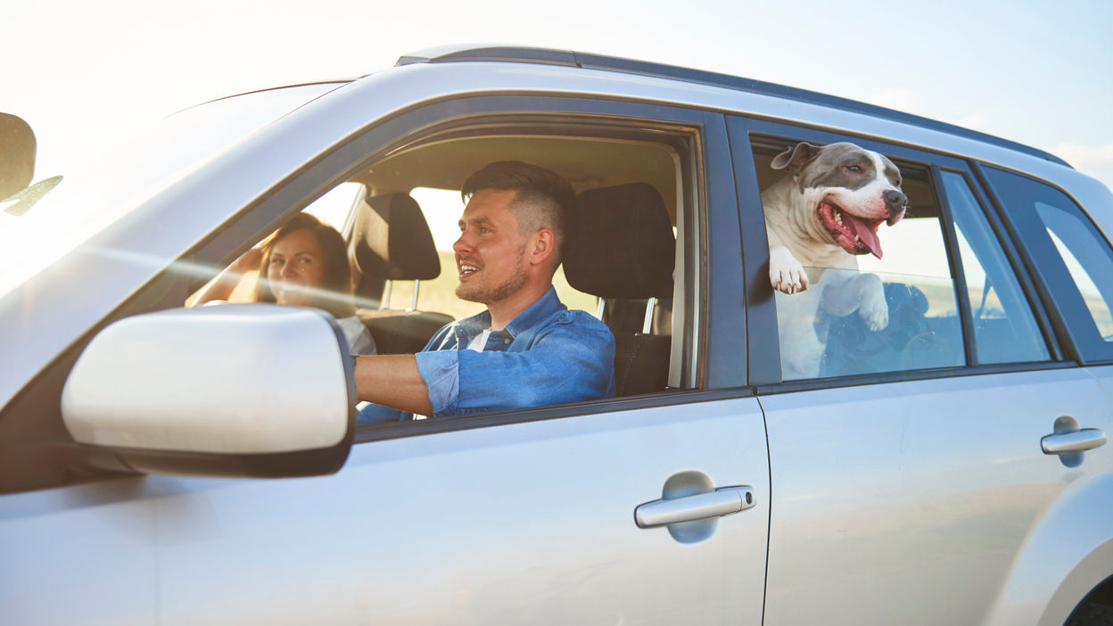 young-couple-and-their-dog-traveling-by-car-2021-08-27-09-47-12-utc