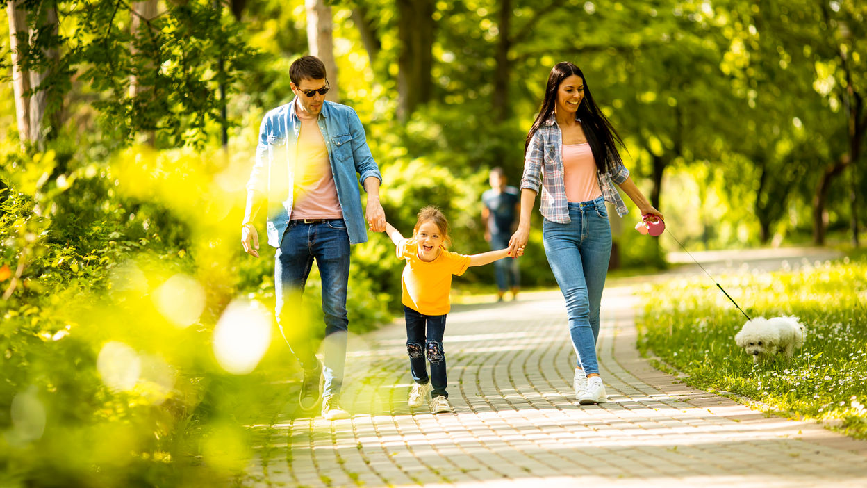 happy-family-with-cute-bichon-dog-in-the-park-2022-04-19-01-52-31-utc