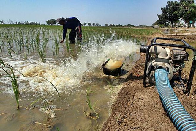 Ilustrasi: Pengairan sawah - Antara