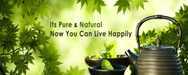 V S Nature Cure Centre
