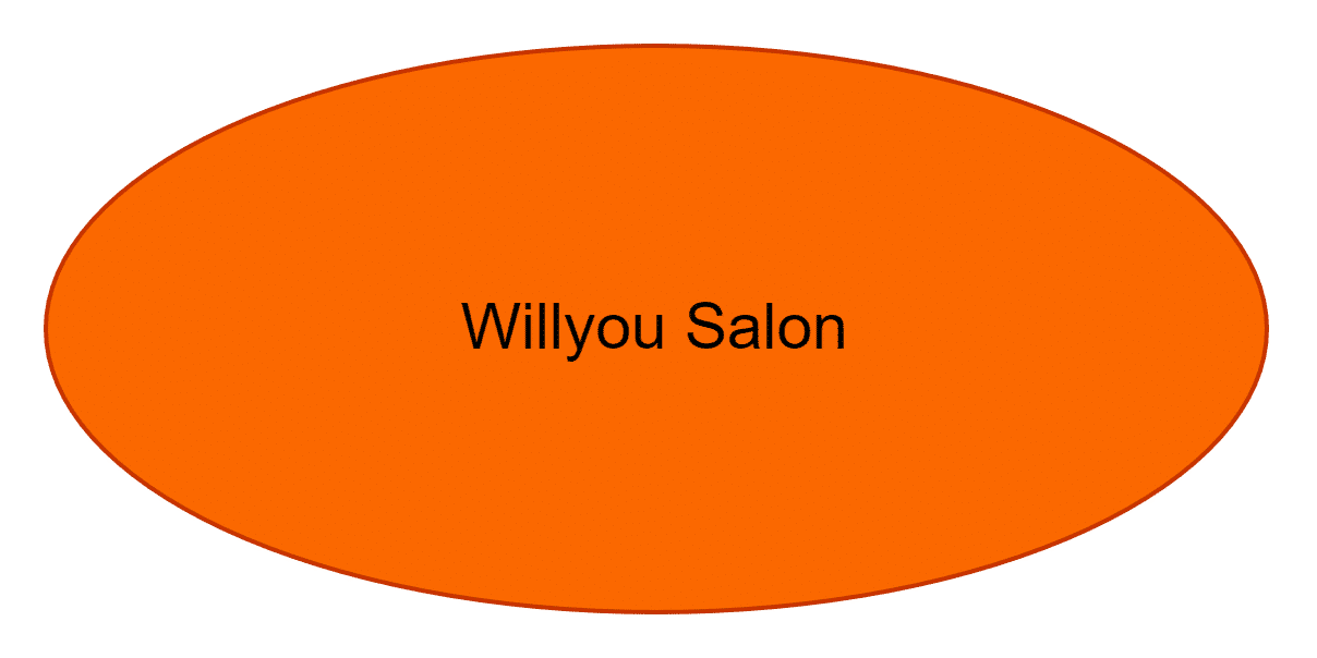 Willyou Salon
