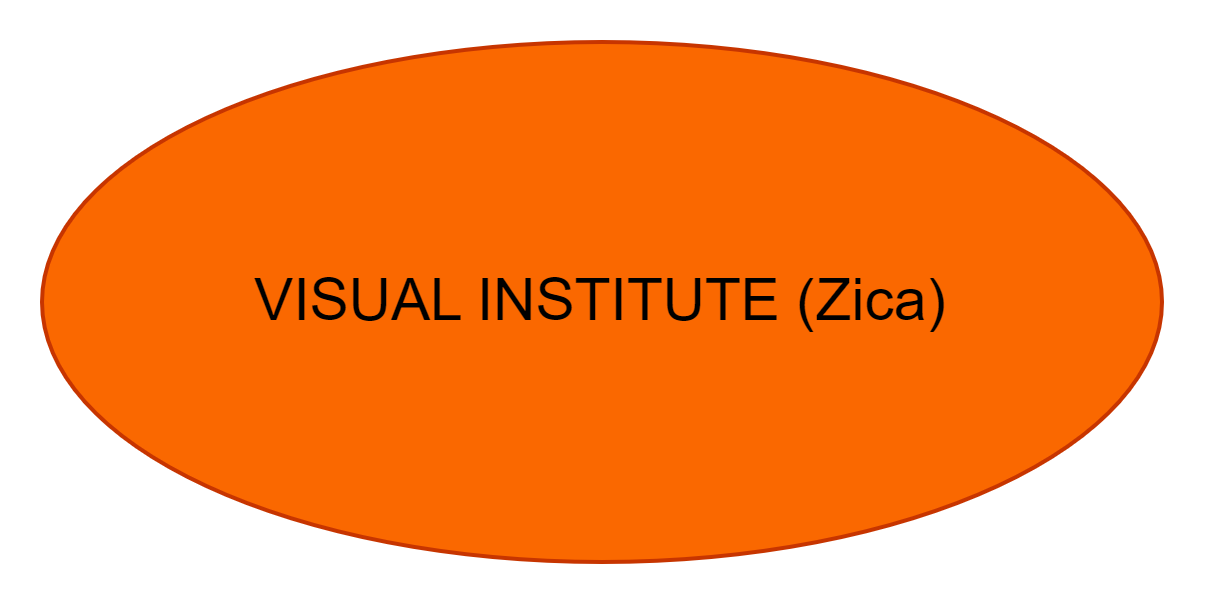 VISUAL INSTITUTE (Zica)