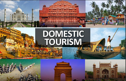 Domestic & International Tours