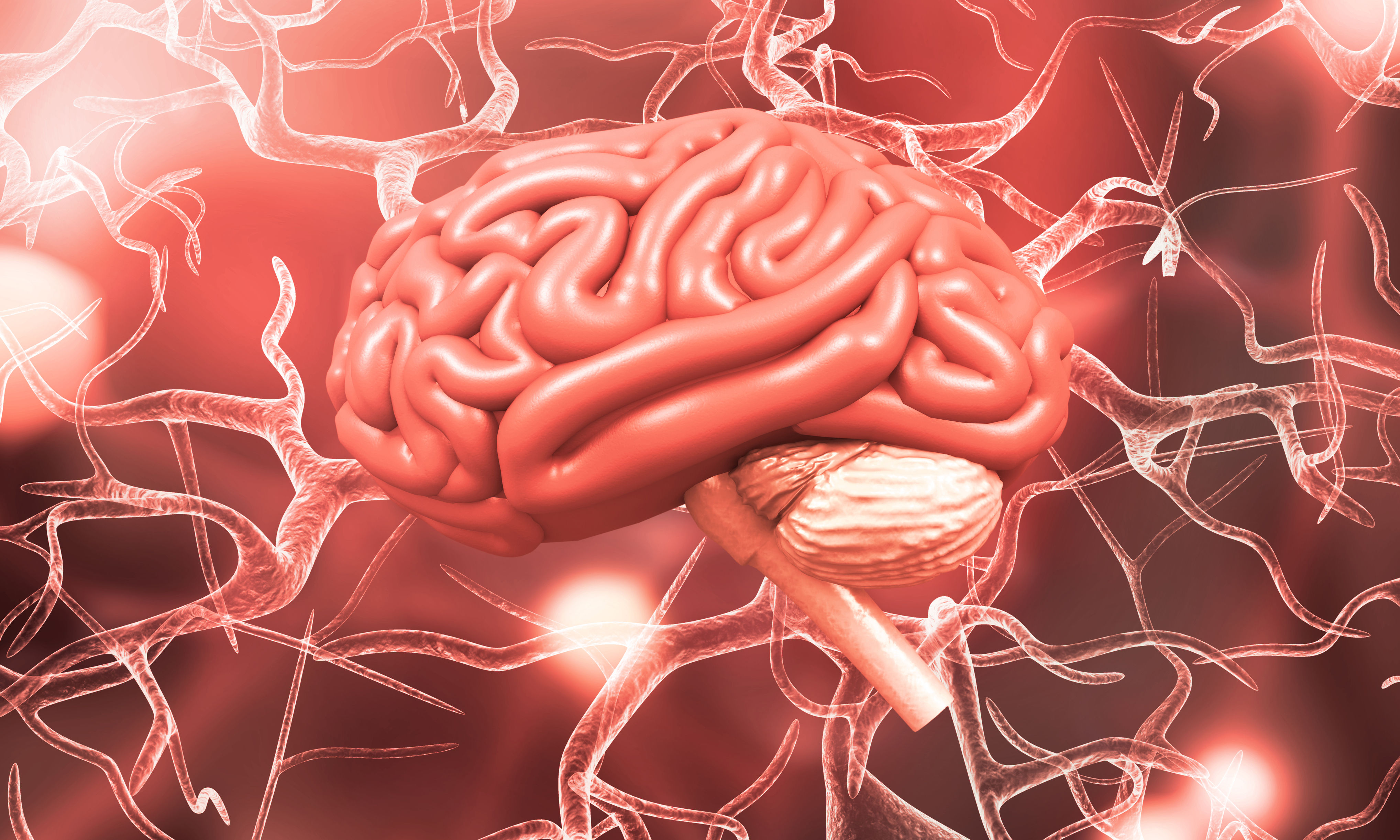 How Brain Aging Is Shaped by Cellular Proximity