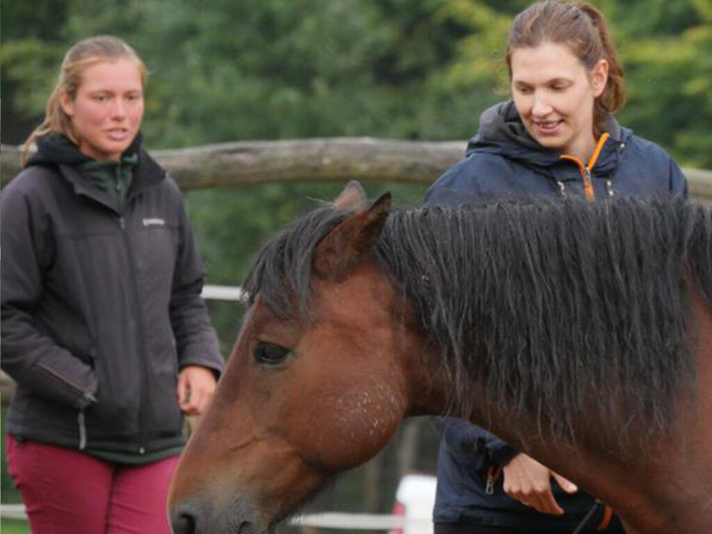 Farkaskútvölgy - Csapatépítő