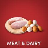 Meat & Dairy