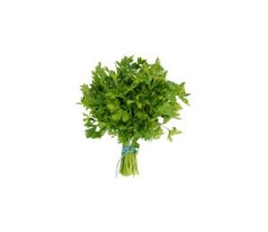 Parsley  