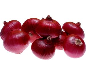 Onion 