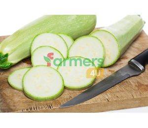 Zucchini  Sliced 