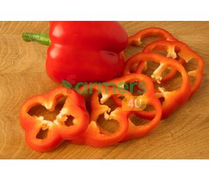 Red Bellpepper Sliced