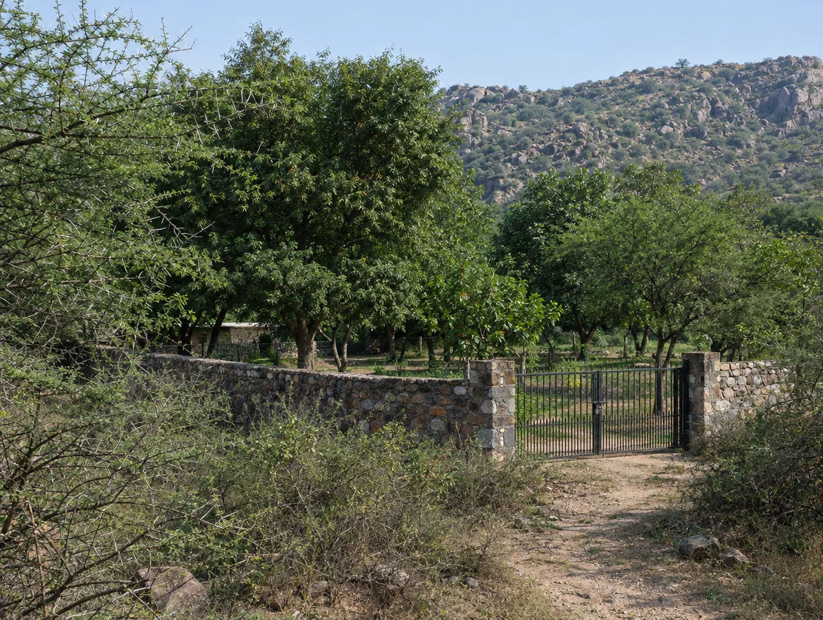 Gated farm plot at the edge of scrub forest near Mandi, South Delhi