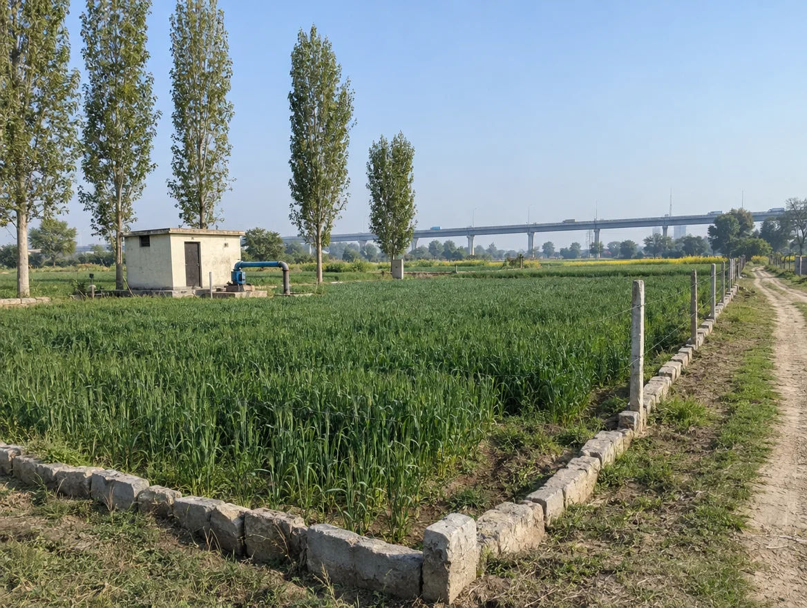 Fenced farm plot near Alipur in northern Delhi with an elevated highway in the distance