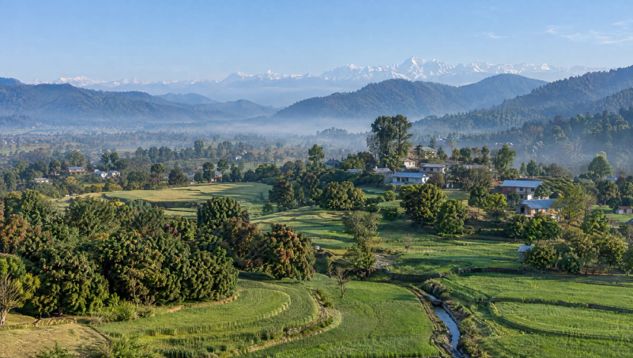 Aerial view of terraced wheat and paddy fields in the Doon valley, Uttarakhand, with mango groves, Shivalik ridges and the Himalaya behind.