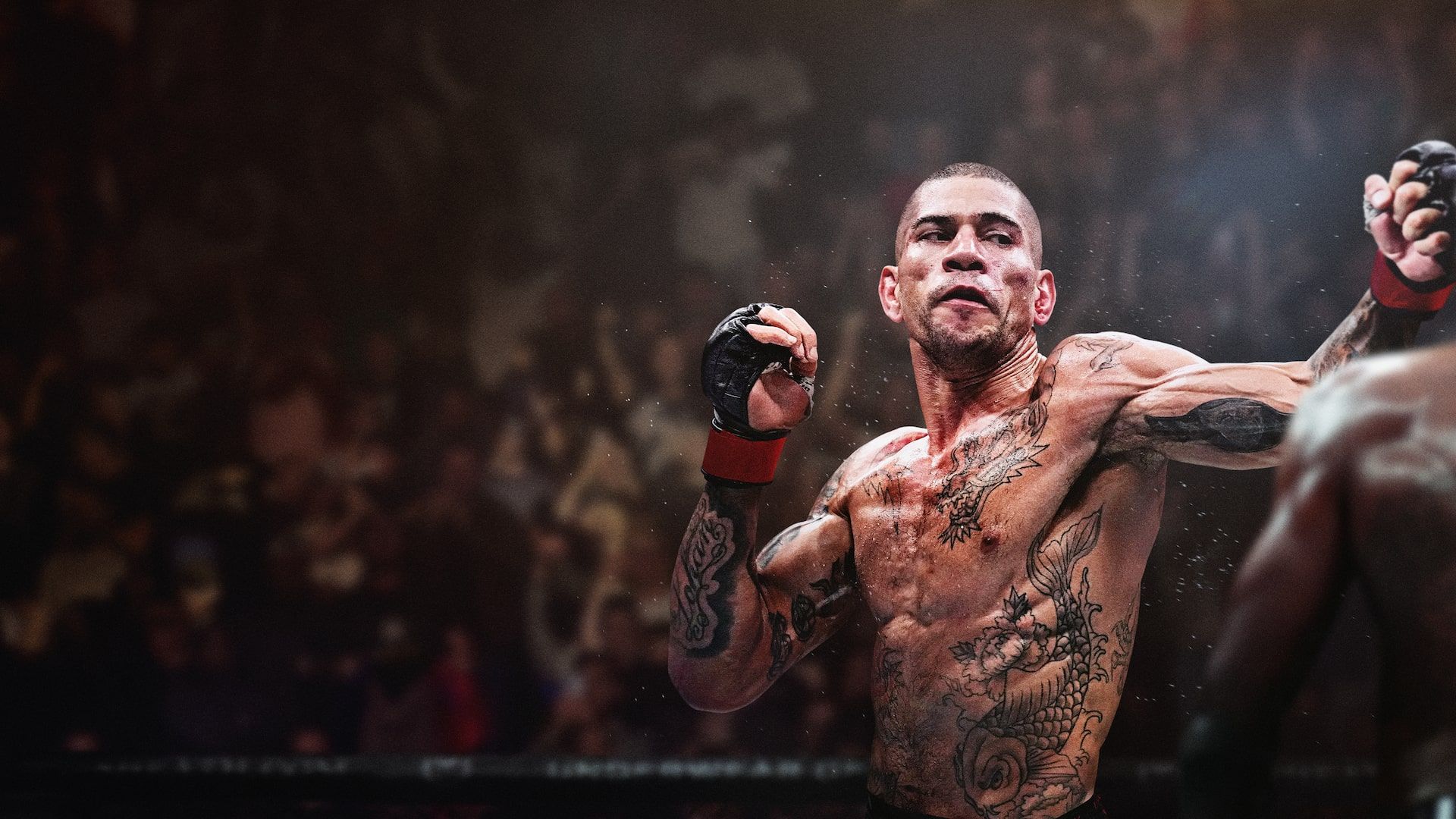 Imagen principal del producto UFC® 6