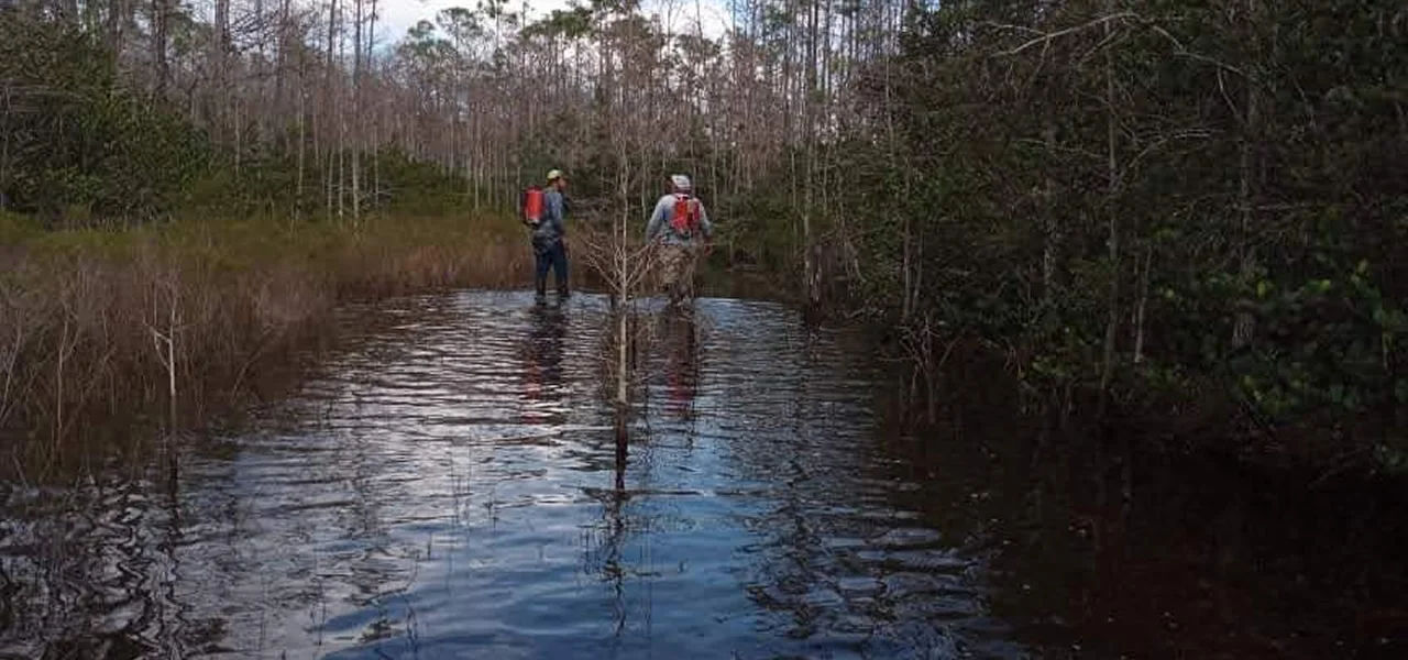 vegetation control companies