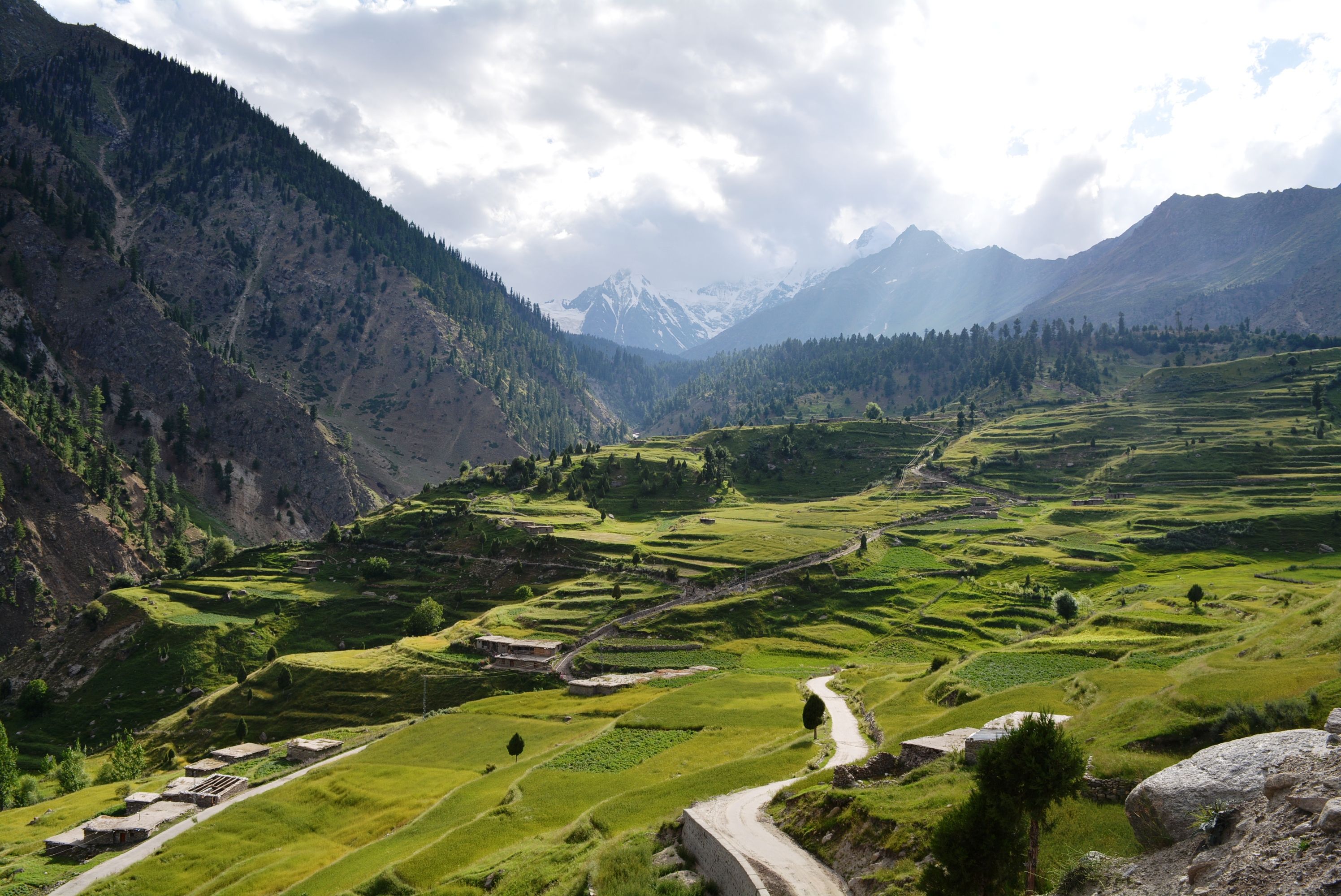 Summer Tour in Gilgit-Baltistan: Alpine Karakoram Adventure