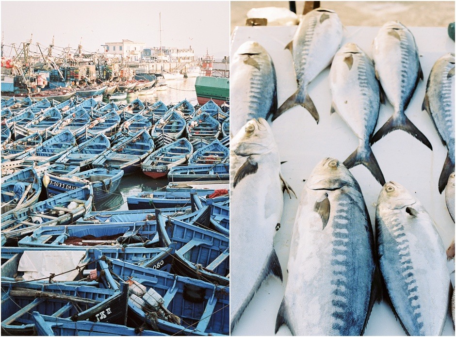 Diptych of the fishing port in Essaouira, of fish and blue fishing boats.