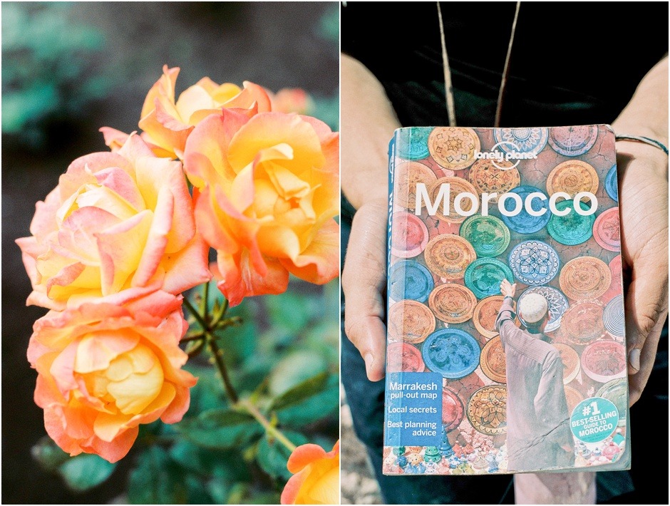 Diptych of Morocco Guide book and Peach Roses