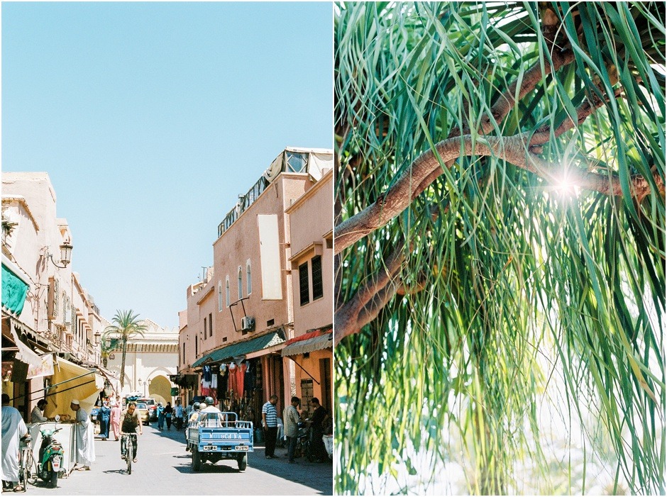 Diptych of the a street scene in Morooco and green tree