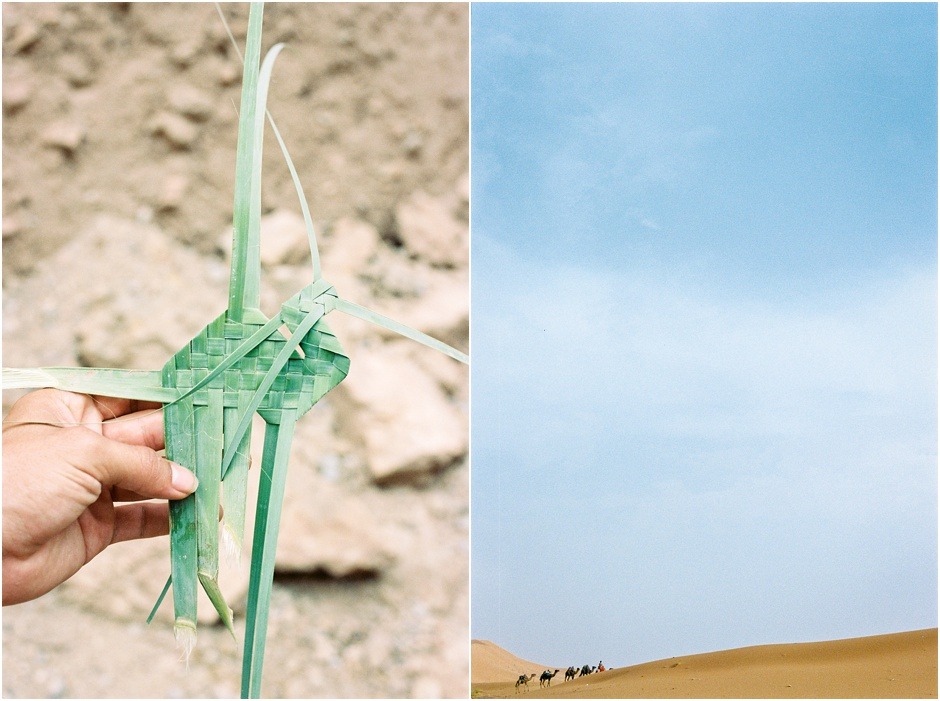 Diptych of camels in the Sahara Desert and a camel made from leafs