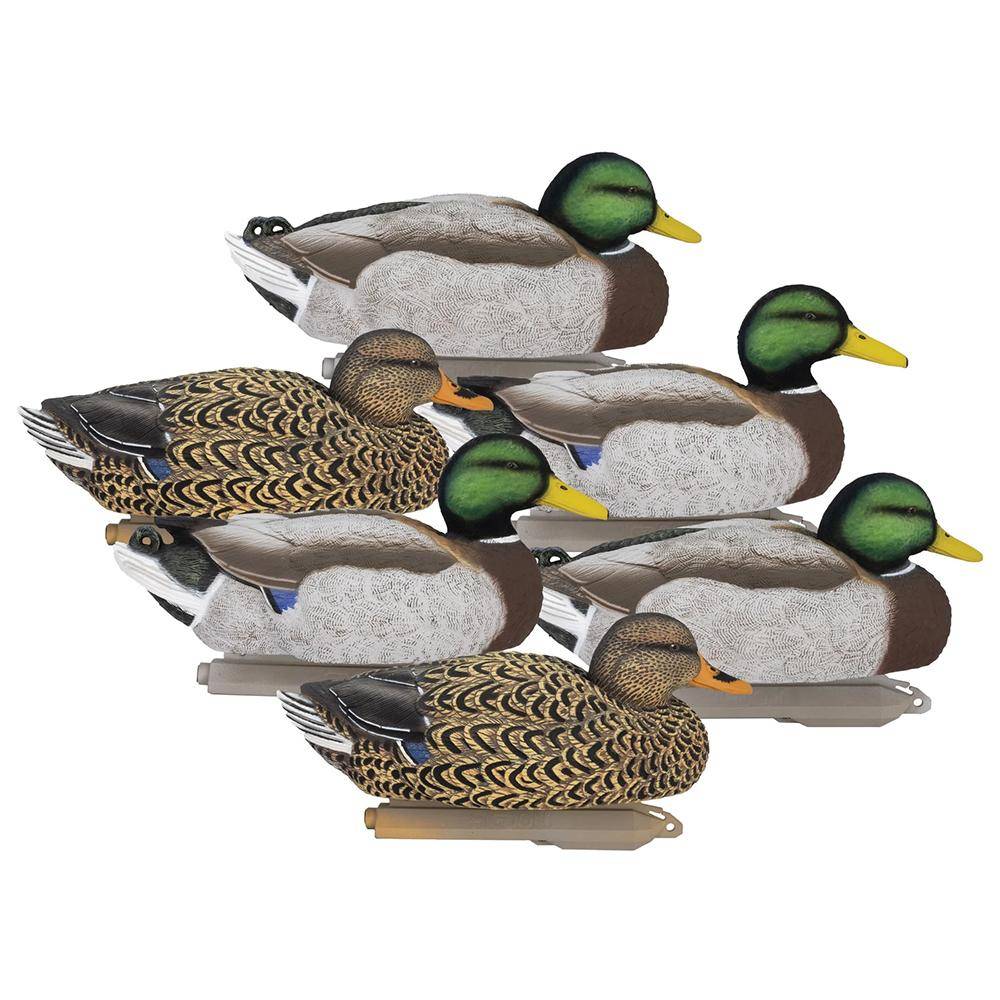 Higdon Legacy Magnum Mallard Feeder Pack Foam Filled 6/ct - Image 2