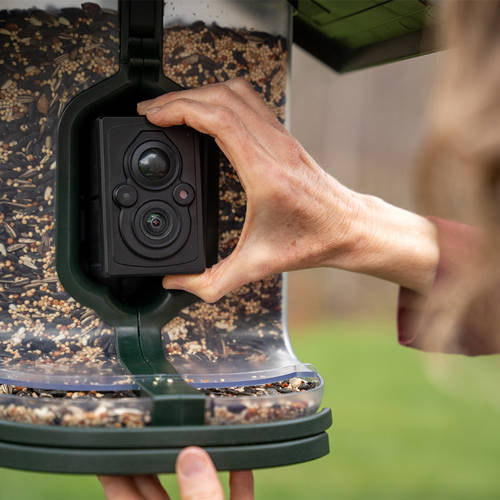 Tactacam FeatherSnap Scout Seed Bird Feeder - Image 12