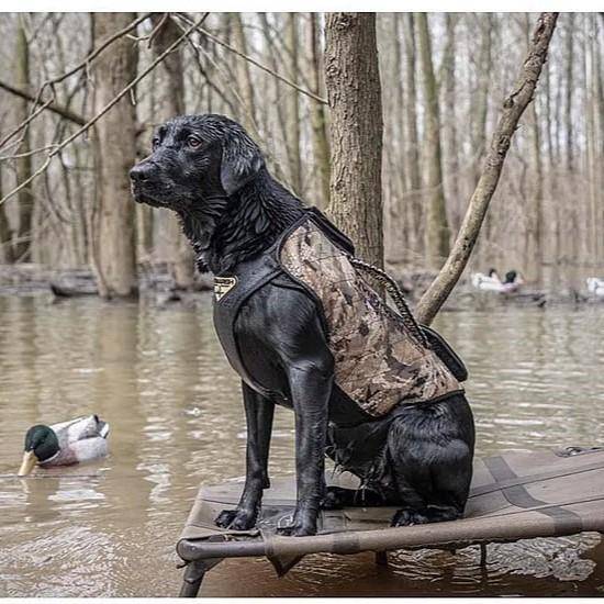 Higdon Outdoors Versa Vest Dog Vest Mossy Oak Bottomland - Image 2