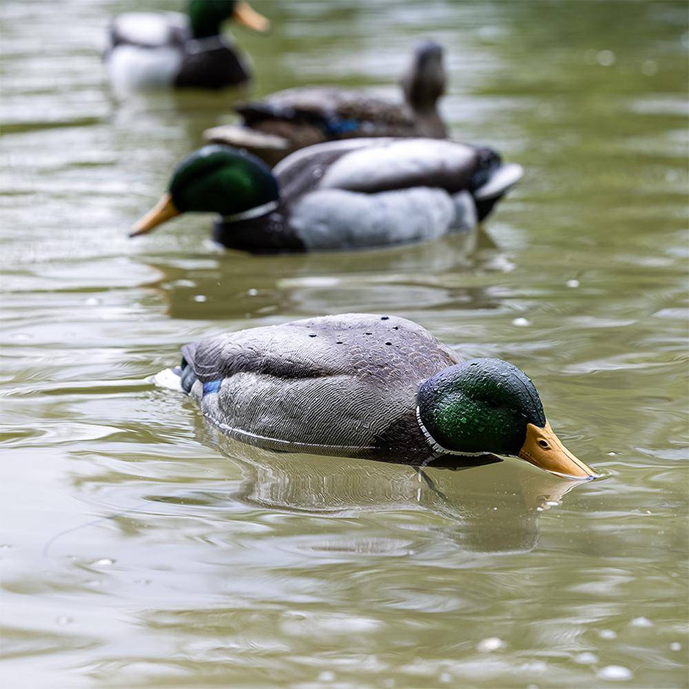 Avian-X Tip Up Mallard Feeder - Image 5