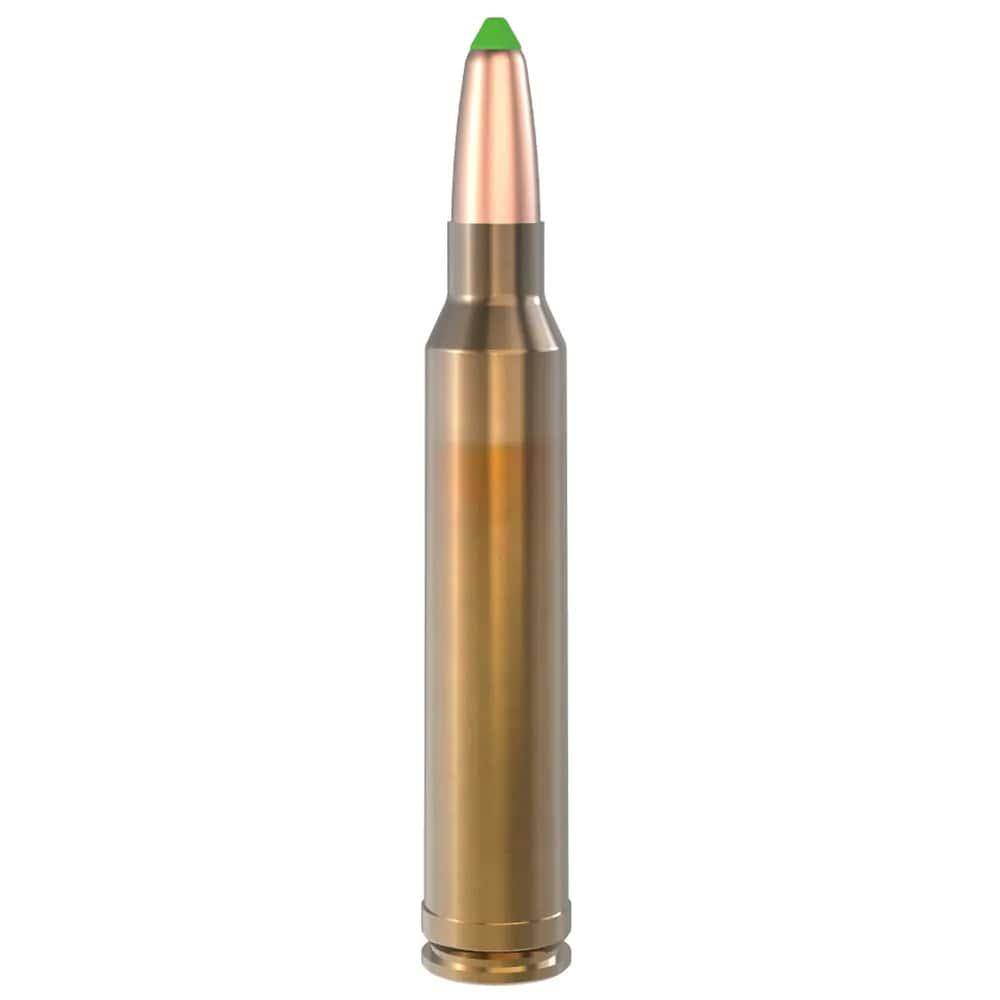 Lapua Rifle Ammunition .300 Win Mag 170gr Naturalis Solid 2959 fps 10/ct