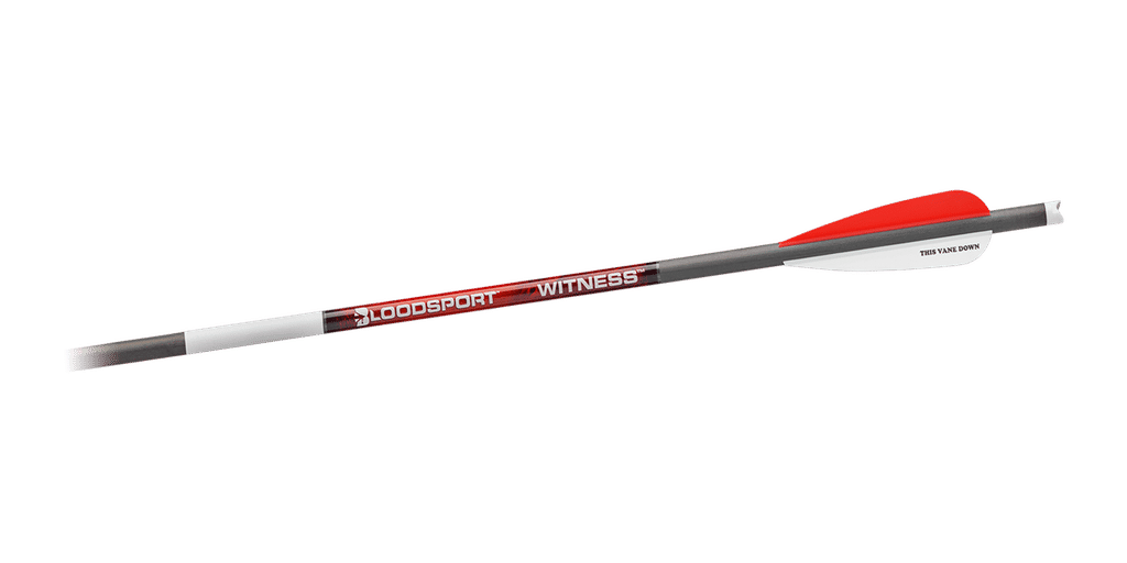 Bloodsport Witness Crossbow Bolt 20" 300 Spine 6/ct