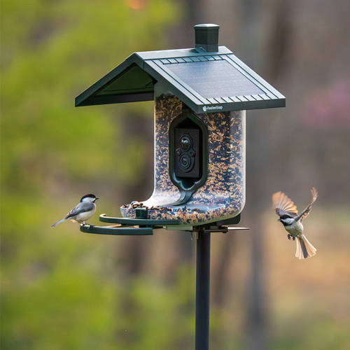Tactacam FeatherSnap Scout Seed Bird Feeder - Image 14