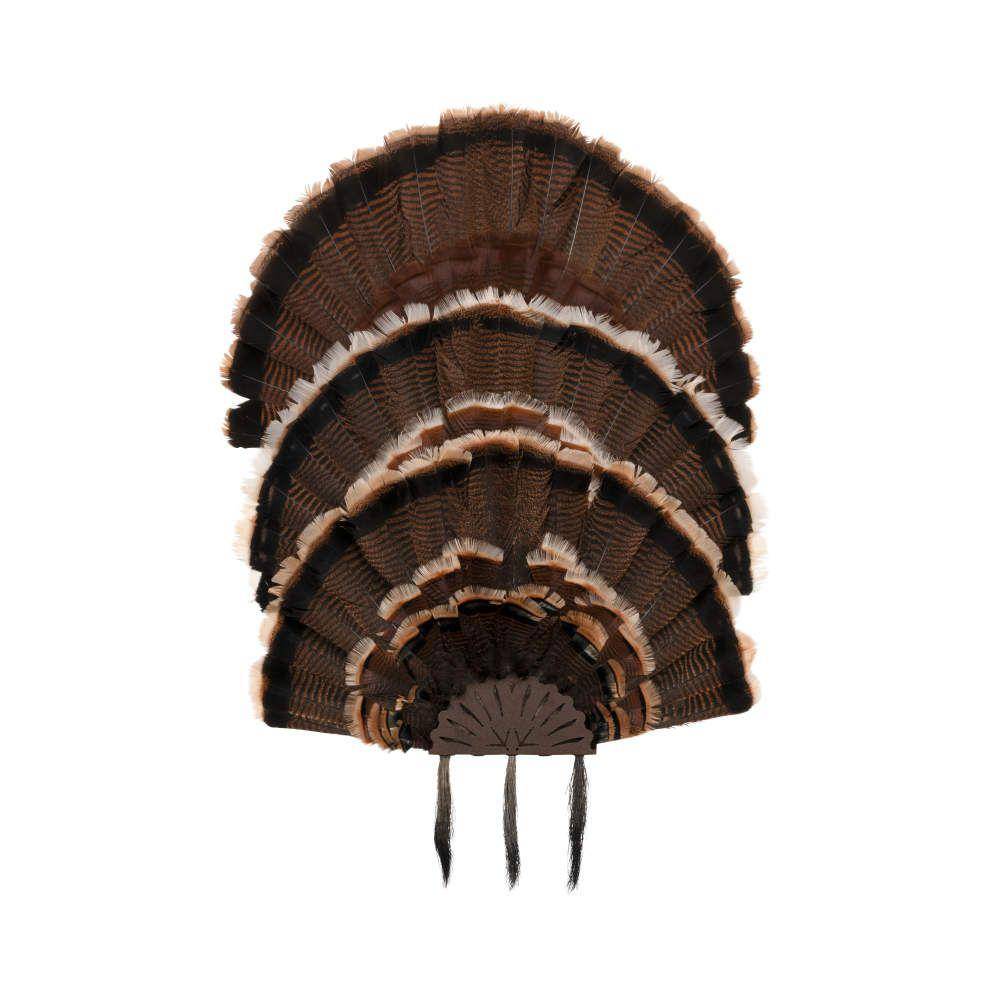 Allen EZ Mount Stackable Turkey Fan and Beard Display - Image 8