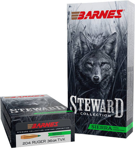 BARNES STEWARD 204 RUGER 36GR