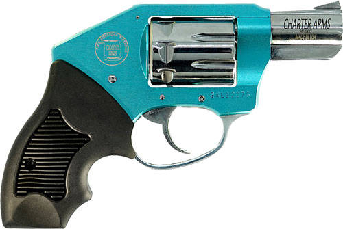 CHARTER ARMS THE WALKER 22 MAG