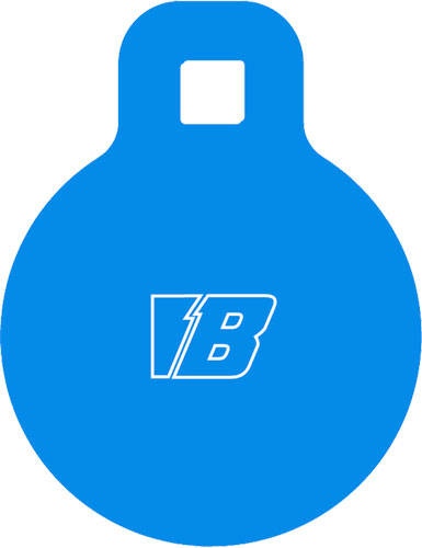 BASH TARGET AR500 GONG TARGET